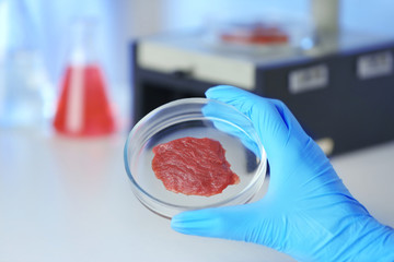 Scientist holding Petri dish with meat sample at laboratory