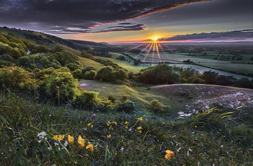 South Downs Sunset with Bird’s-foot Trefoil and Squinancywort