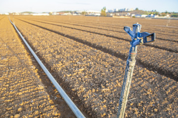 Closeup of a water sprinkler on field