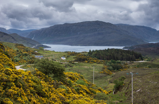 Northwest Coast, Scotland - June 6, 2012: The road meanders while descending to Loch a Chaim Bhaim, near Kylesku. Storm clouds and mountains on horizon. Grass and yellow broom flowers upfront.