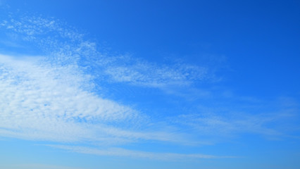 afternoon blue sky. - obrazy, fototapety, plakaty