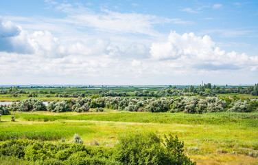 The nature of the banks of the Dead Donets river in Don river delta in the vicinity of Rostov-on-don. Summer steppe landscape. The view from the train window
