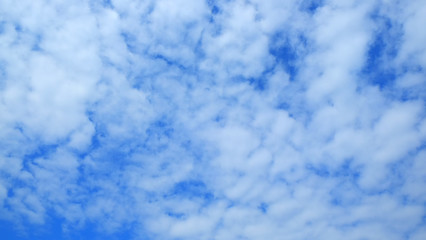 Fototapeta na wymiar afternoon blue sky.