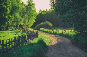 Rural Sweden summer landscape with road, green trees and wooden fence. Adventure scandinavian...
