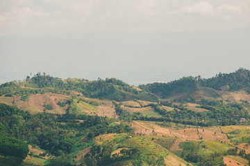 the tree view with clouds and hills