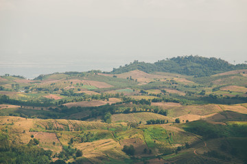 the tree view with clouds and hills