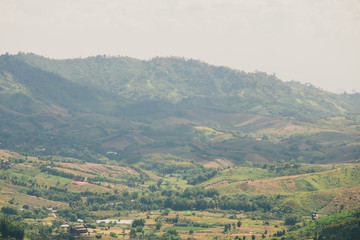 the tree view with clouds and hills