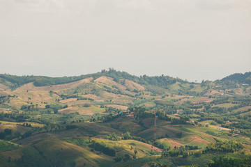 the tree view with clouds and hills