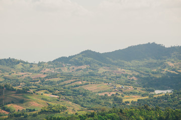 the tree view with clouds and hills