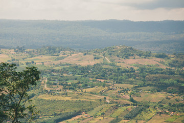 the tree view with clouds and hills