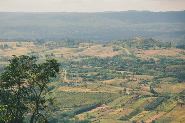 the tree view with clouds and hills