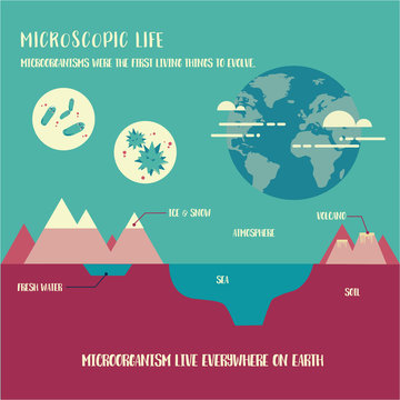 Microorganism life
