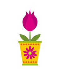 beautiful pink flower in a pot over white background. colorful design. vector illustration
