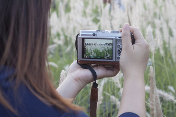 talented woman photographing poaceae grass  with his camera