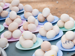 Boiled egg containing undeveloped embryo in thailand morning market.