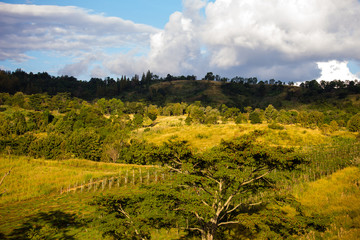 Wonderfull top hill lanscape in Thailand