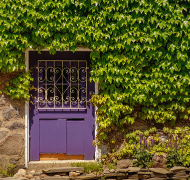 Purple Door