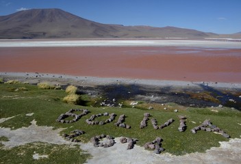 Bolivia 2014 sign made in rocks in front of a beautiful pink lake in the Altiplano region of Bolivia