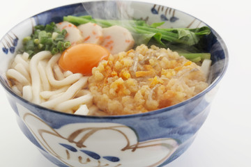 おいしそうなうどん