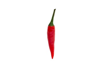 Close up of red chilli on white background
