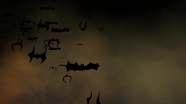 Halloween setting with animated bats flying across a spooky sky. Can be used as a design element for placement of copy and Halloween messaging..