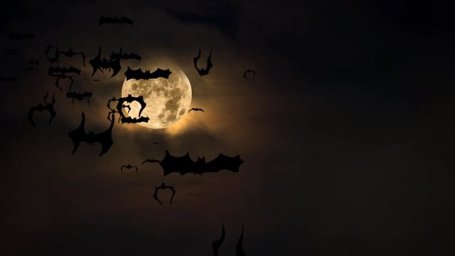 Halloween setting with animated bats flying across a spooky moon and dark amber sky highlighted by fog and clouds.  Can be used as a design element for placement of copy and Halloween messaging..