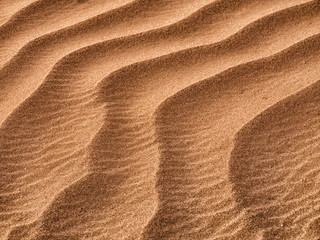Sand Dunes texture