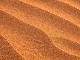Sand Dunes texture