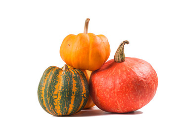 Fancy pumpkin on a white background
