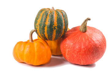 Fancy pumpkin on a white background
