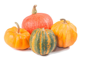 Fancy pumpkin on a white background
