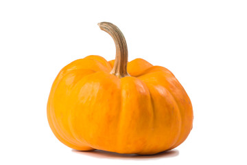Fancy pumpkin on a white background
