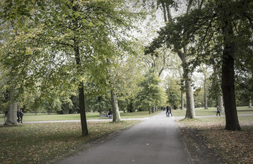 Walk in the fall in London Park