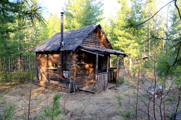 Forest shelter (cabin) for hunters in the Siberian taiga. House for temporary accommodation and...