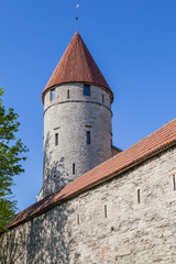 Medieval city wall and tower in Tallinn Old Town, Estonia