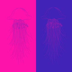 Vector  oceanic jellyfish