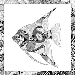 Vector black and white angelfish illustration
