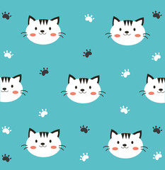 cute white cat in blue background