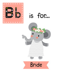 Cute children ABC alphabet B letter tracing flashcard of Bride for kids learning English vocabulary in Valentines Day theme.