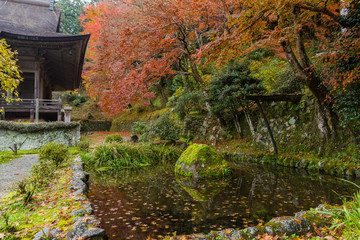 Fototapeta na wymiar Beautiful Japanese park in autumn