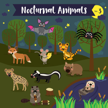 Nocturnal Animals cartoon with forest and pond background. Set 3.
