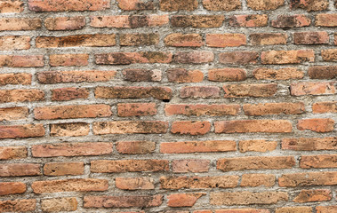 Obraz premium Old brick wall for background