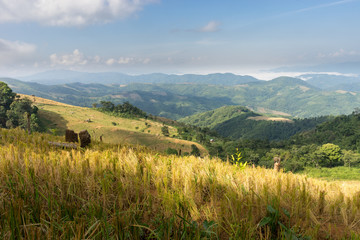 The beautiful scenery of the mountains and fog