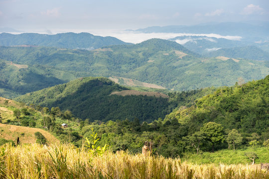 Fototapeta The beautiful scenery of the mountains and fog