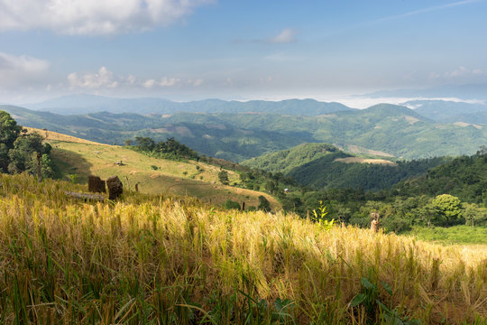 Fototapeta The beautiful scenery of the mountains and fog