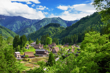Naklejka premium world heritage village Gokayama Village