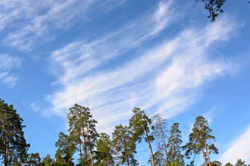 clouds in the sky