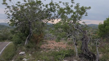 view of the fields and farms