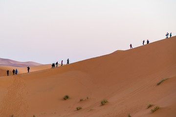 Sahara Desert , tourist Climbing 
