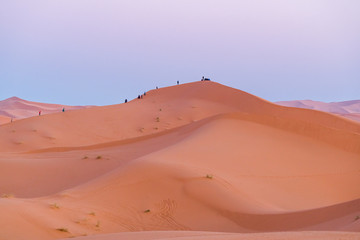 Sahara Desert , tourist Climbing 
